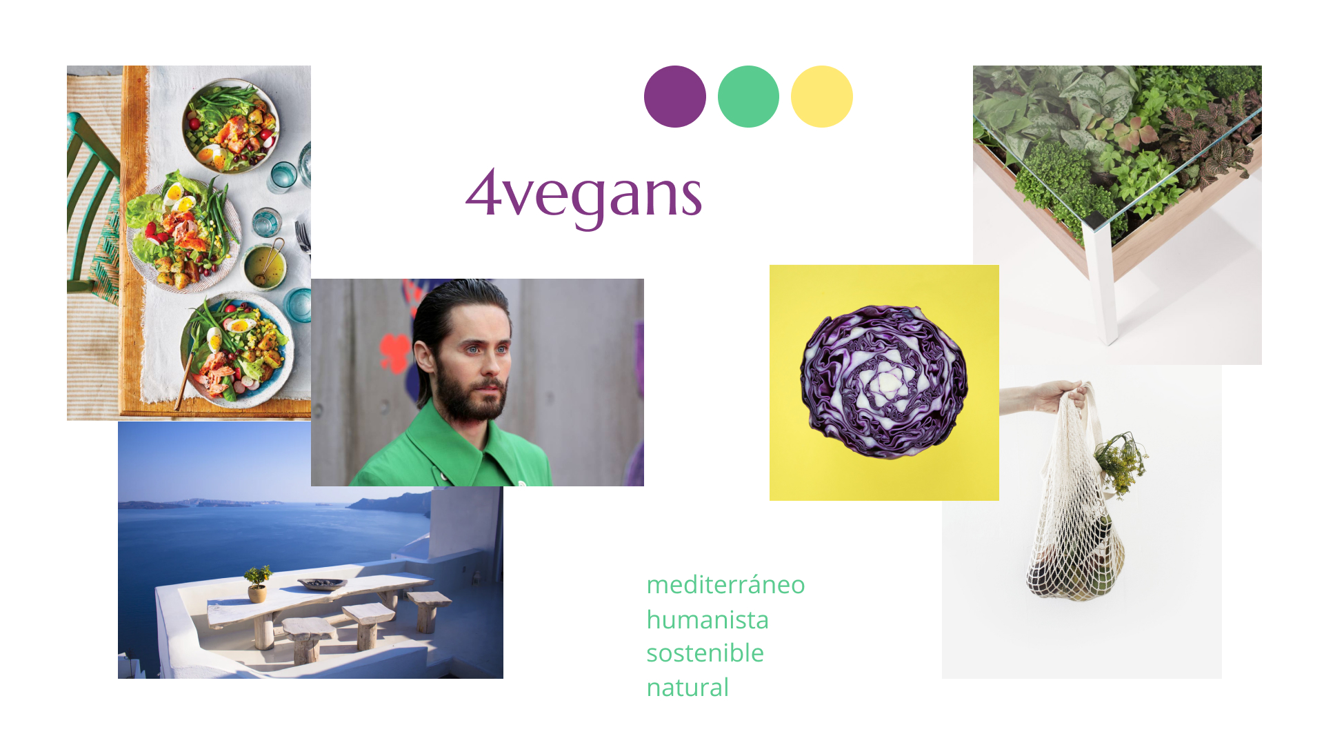 4Vegans_Moodboard